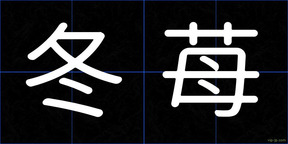 冬苺