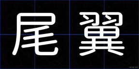 尾翼