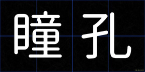 瞳孔