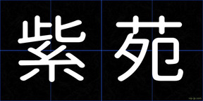 紫苑