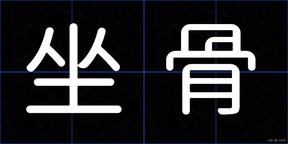 坐骨