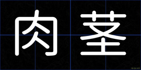 肉茎