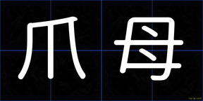 爪母