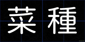 菜種
