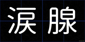 涙腺
