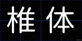 椎体