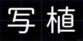 写植