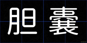 胆嚢
