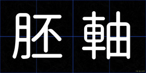 胚軸