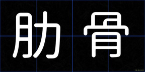 肋骨