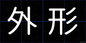 外形