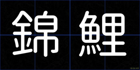 錦鯉