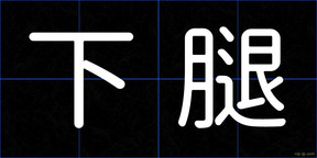 下腿