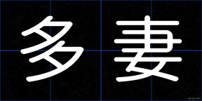 多妻