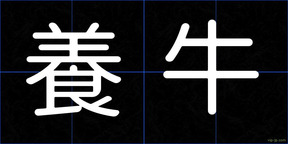 養牛