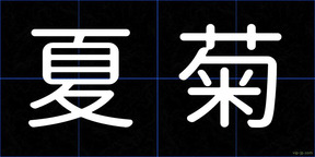 夏菊