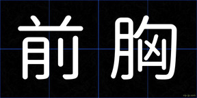 前胸