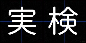 実検