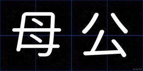 母公