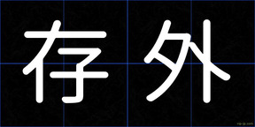 存外