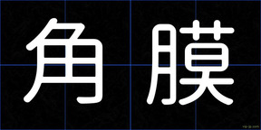 角膜