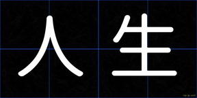 人生