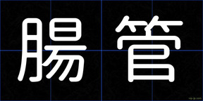 腸管
