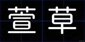 萱草
