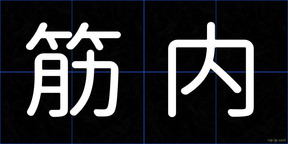 筋内