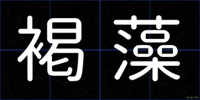 褐藻