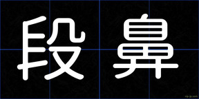 段鼻