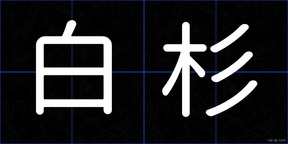 白杉