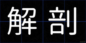 解剖