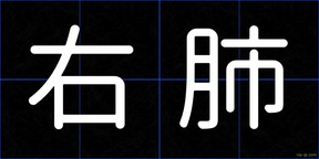 右肺