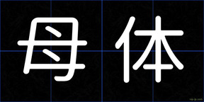母体