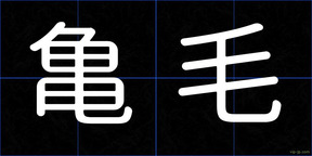 亀毛