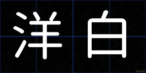 洋白