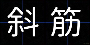 斜筋