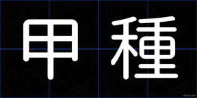 甲種