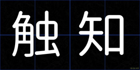 触知