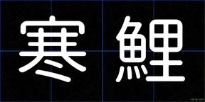 寒鯉