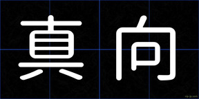 真向