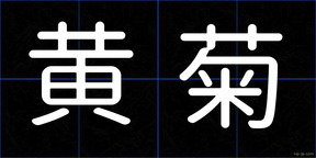 黄菊
