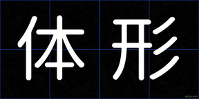 体形