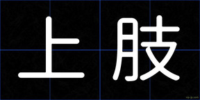 上肢