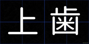 上歯