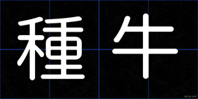 種牛