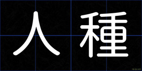人種