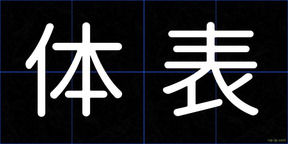 体表