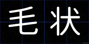 毛状